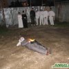 carnevale 7_jpg